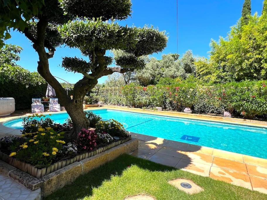 Le Jardin De Mae Apartment Bouc-Bel-Air Ngoại thất bức ảnh